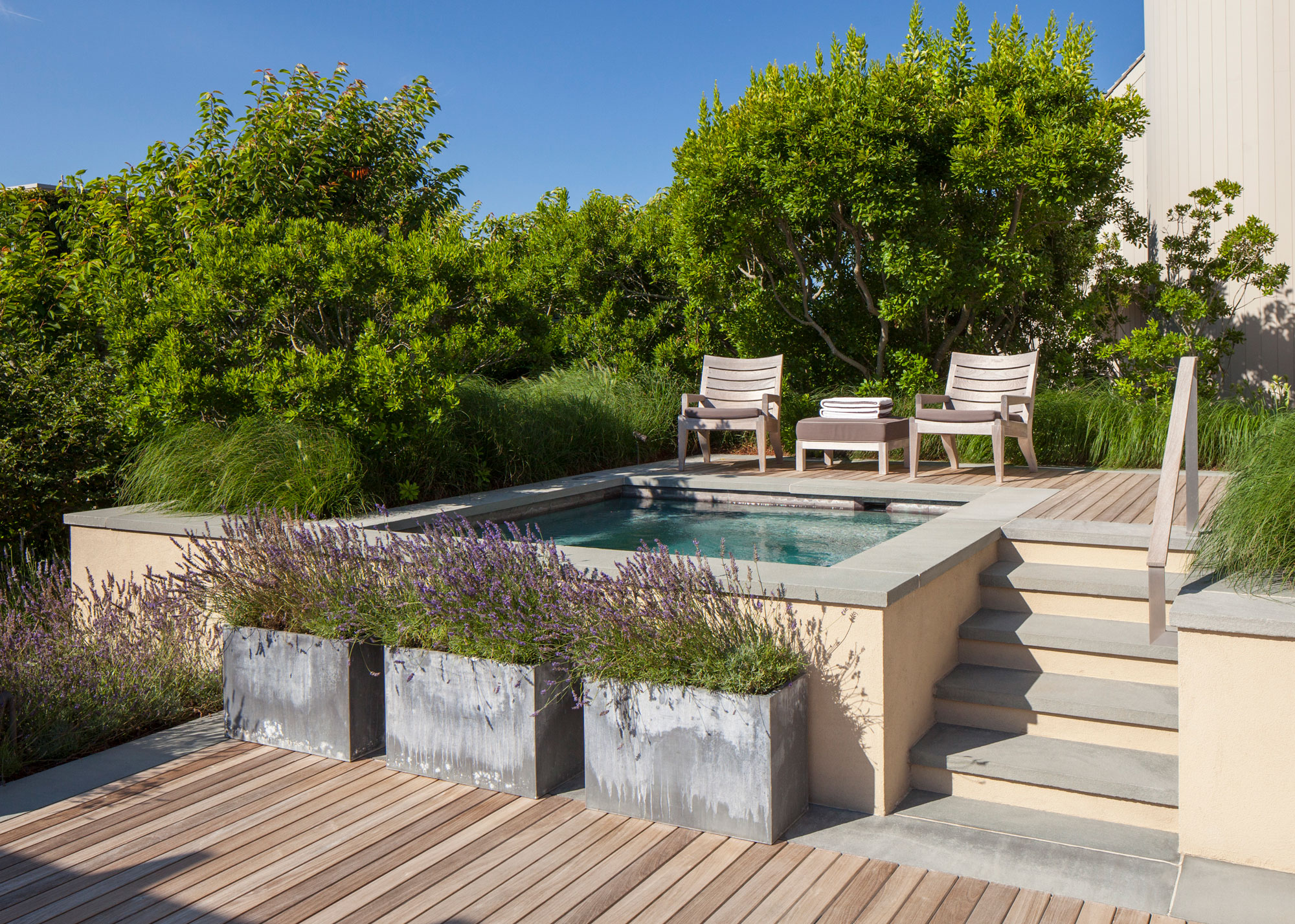 split level deck with plunge pool, garden steps, and planting