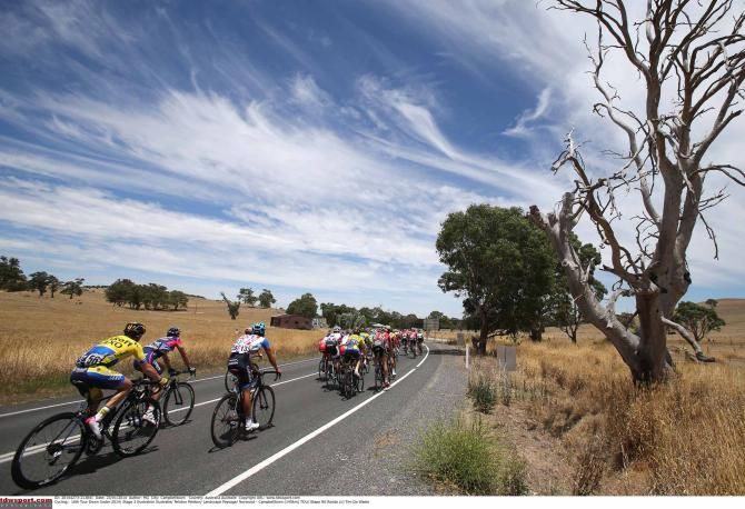 The Tour Down Under peloton on the road to Campbelltown.