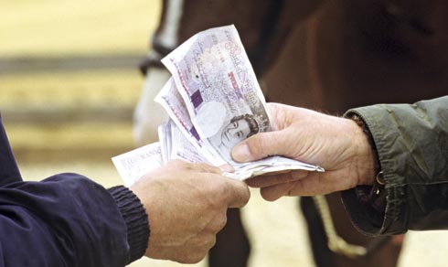 Horses are expensive so check out these money-saving tips for horse owners