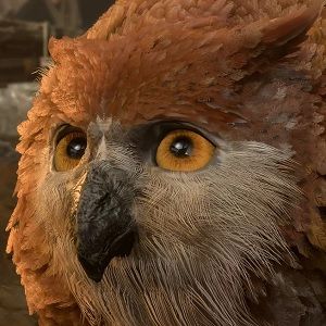 Baldur's Gate 3 - an owlbear cub with tan feathers and yellow eyes