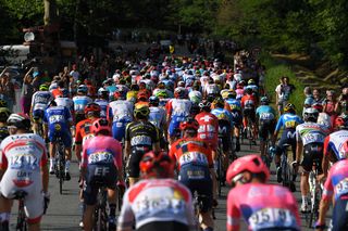 The peloton racing in Paris, stage 21 at the Tour de France