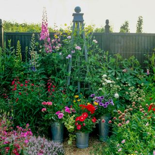 garden full of summer blooms, container plants and obelisk
