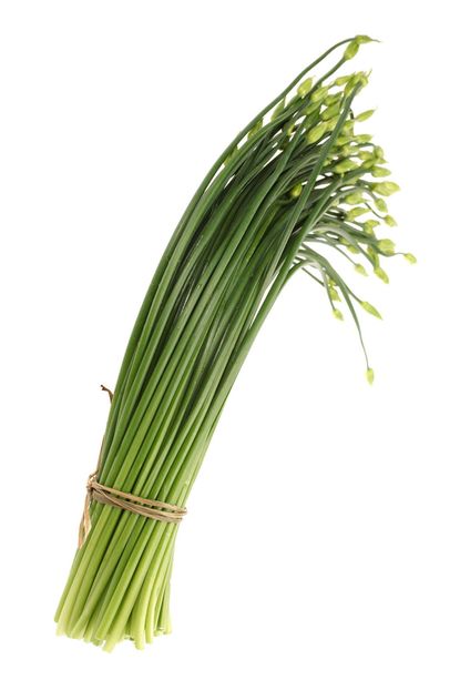 Bundle Of Garlic Chives