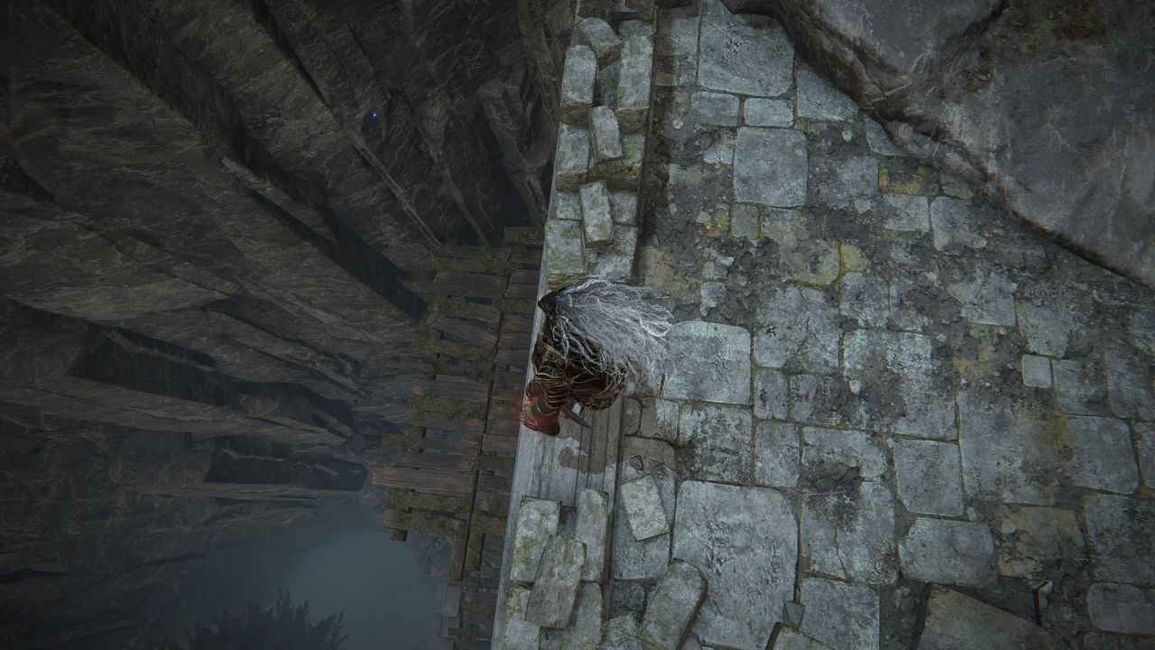 Elden Ring Seluvis