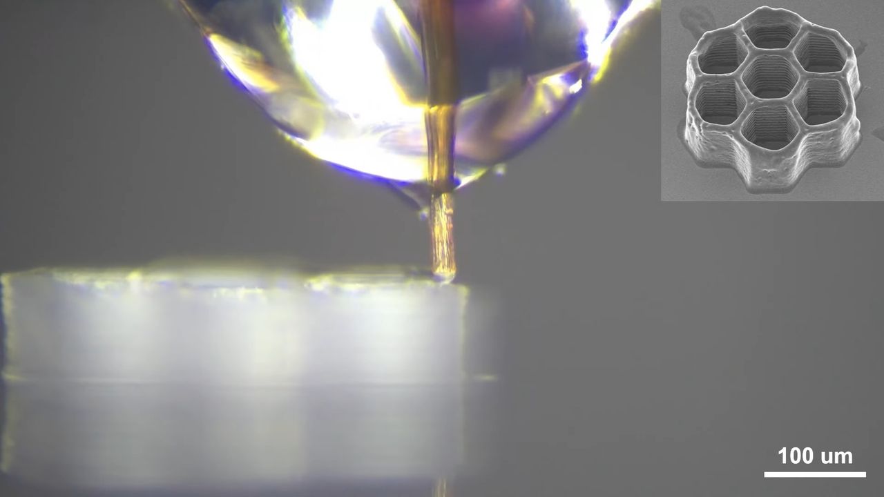 Dead mosquito proboscis used for high-resolution 3D printing nozzle
