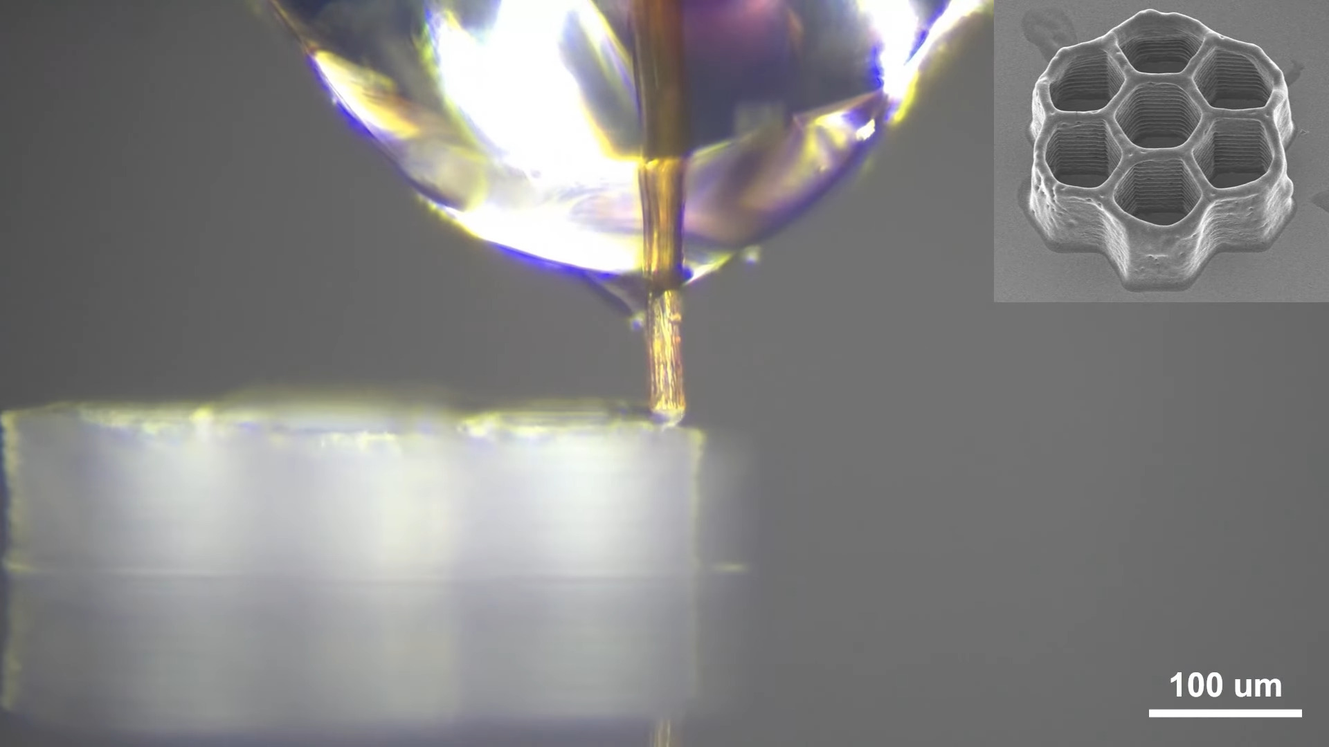 Dead mosquito proboscis used for high-resolution 3D printing nozzle