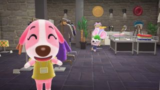 Apparel Shop in Animal Crossing: New Horizons - Happy Home Paradise