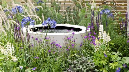 how to keep a water feature clean: Water feature and soft planting in The Wellbeing of Women Garden at RHS Hampton Court Palace Flower Show 2015