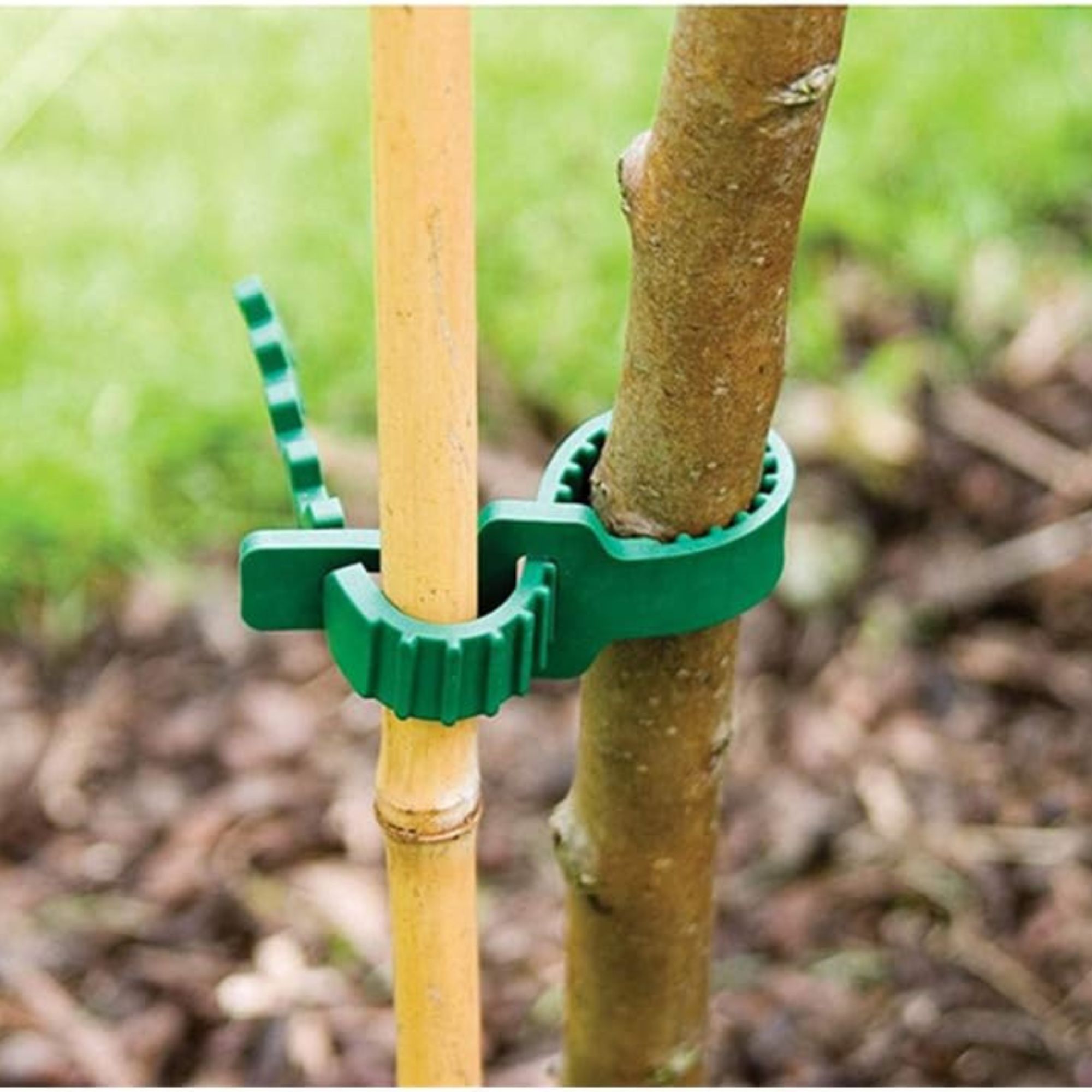 Amazon tree supports