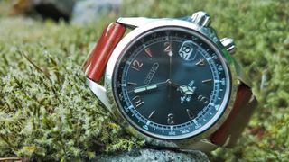 best field watches: Seiko Alpinist