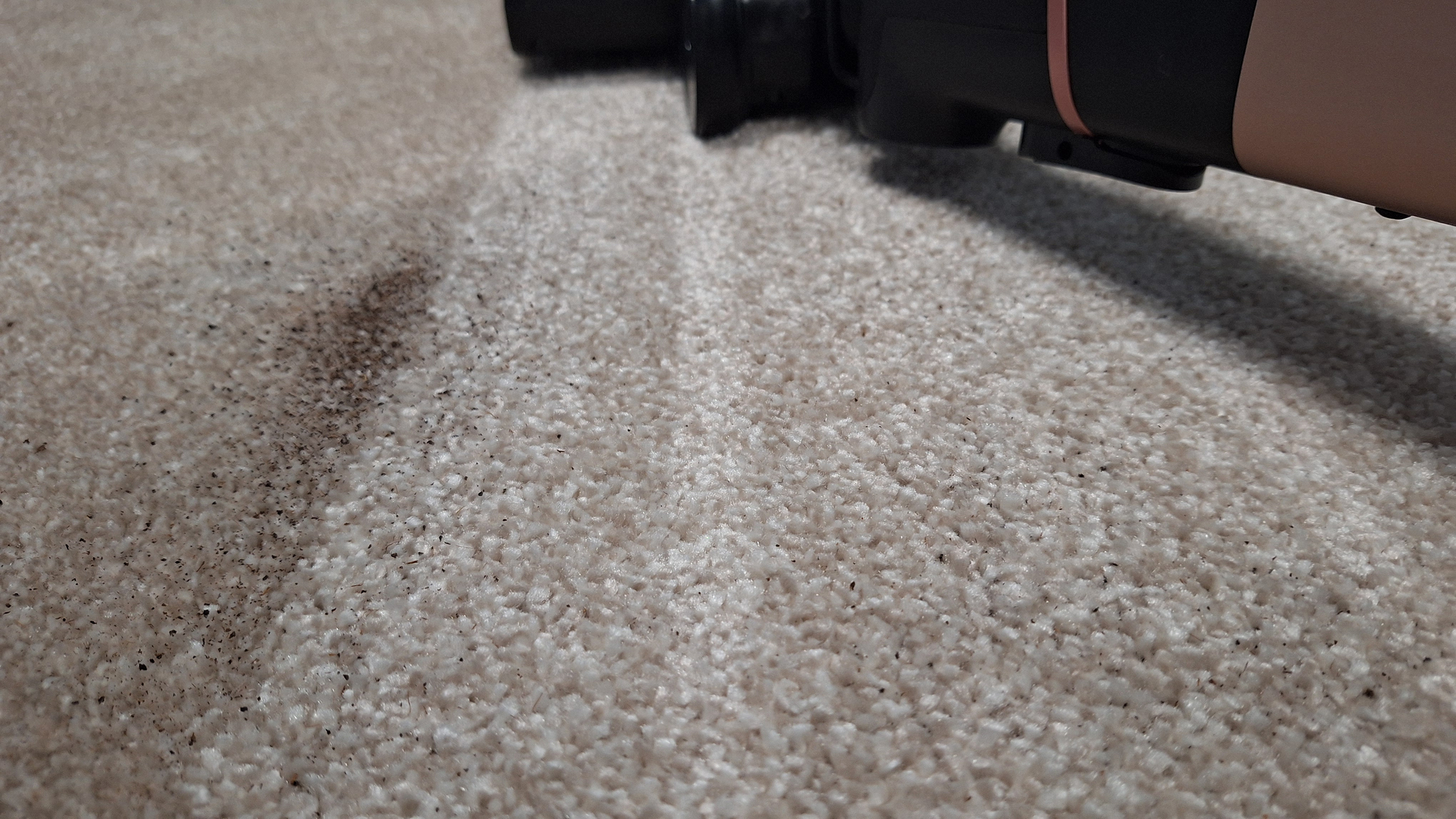 Shark Stratos IZ400 cordless vacuum cleaning tea from carpet