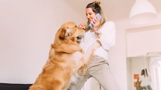 Dog jumping up on woman while she's talking on the phone