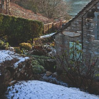 A snow-covered garden with a cottage