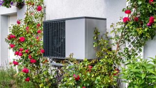 Outdoor unit of heat pump heating of residential house framed by roses 