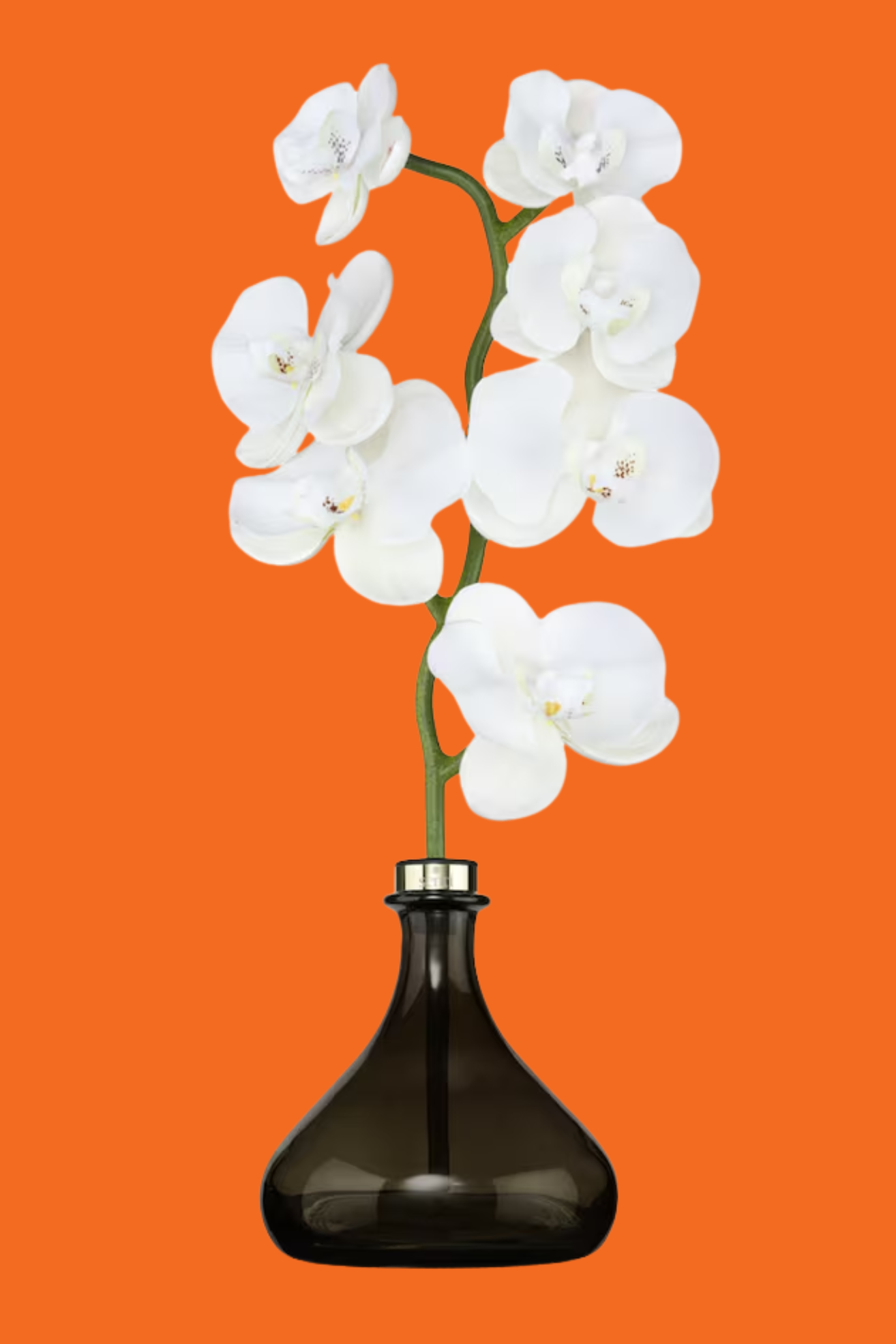An orchid-shaped diffuser