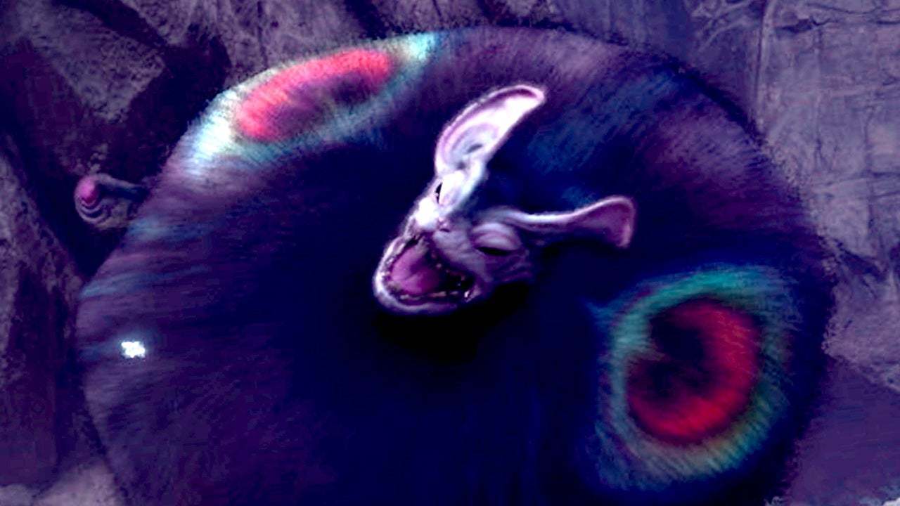 Image result for nightshade paolumu