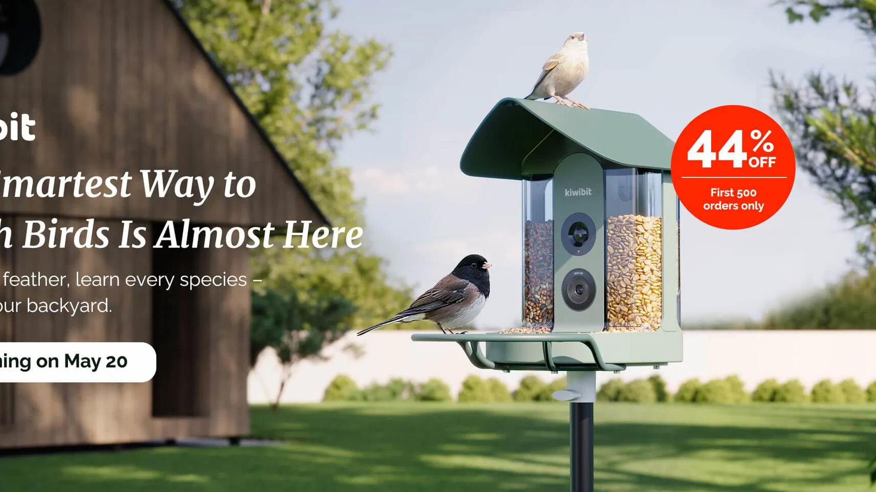 Beako Kiwibit bird feeder camera in situ in a garden