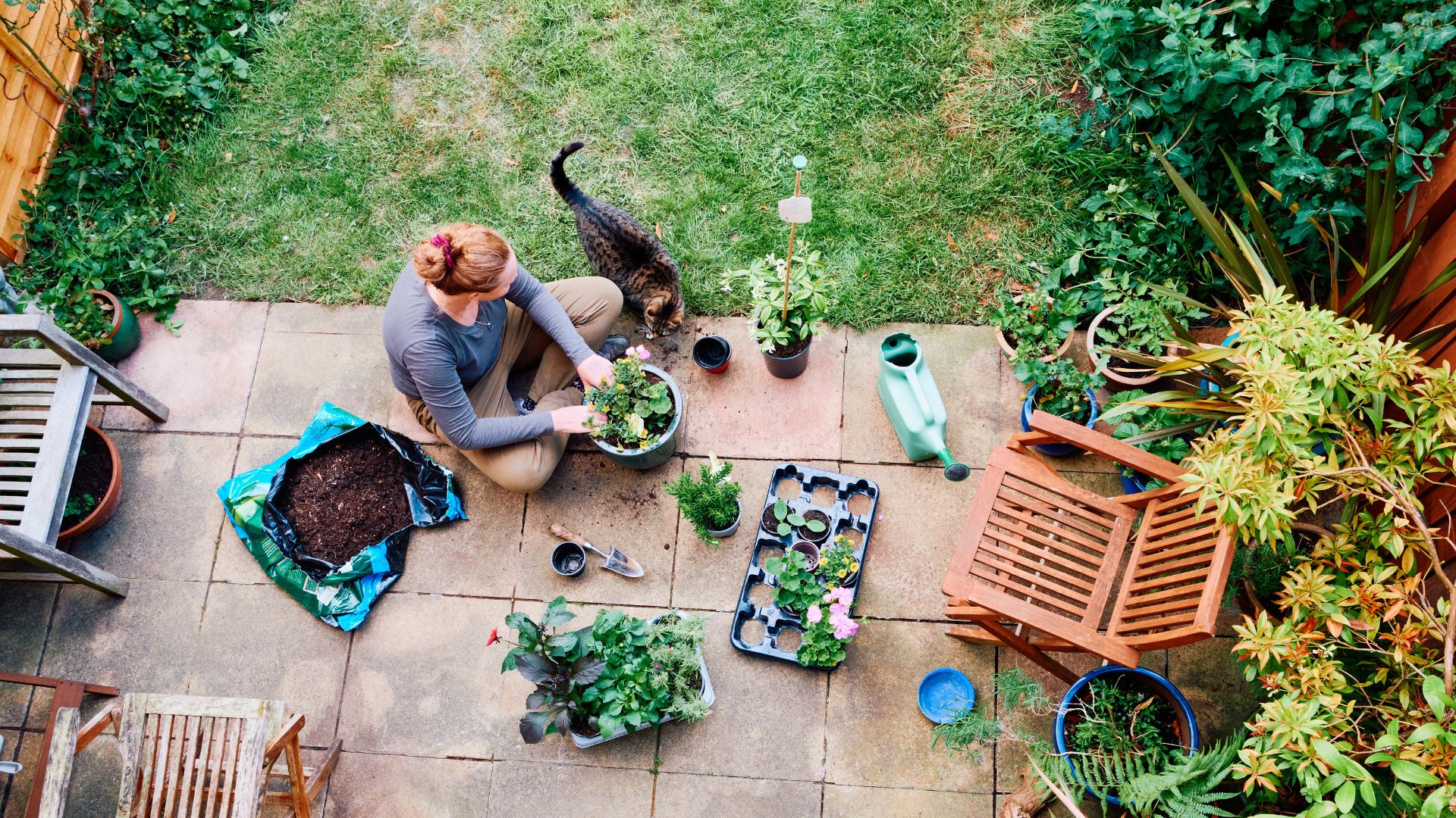 picture of woman tending to plants in garden