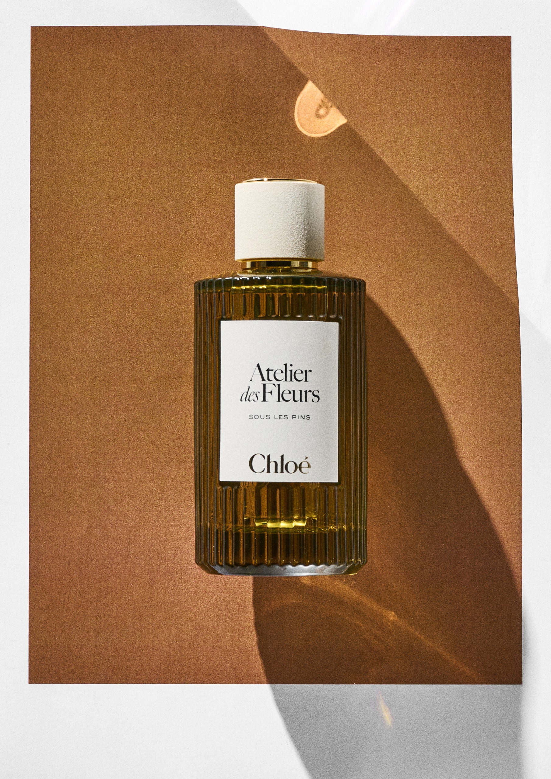 Chlo&amp;eacute; Atelier Des Fleurs Sous Les Pins on an orange background