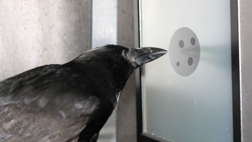 Image of black crow with beak pointed toward computer monitor; monitor displays a grey circle with four dots on it