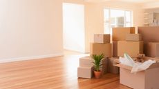 A large pile of brown moving boxes and a houseplant in the middle of a naturally lit open floor space with wood floors and white walls, no furniture