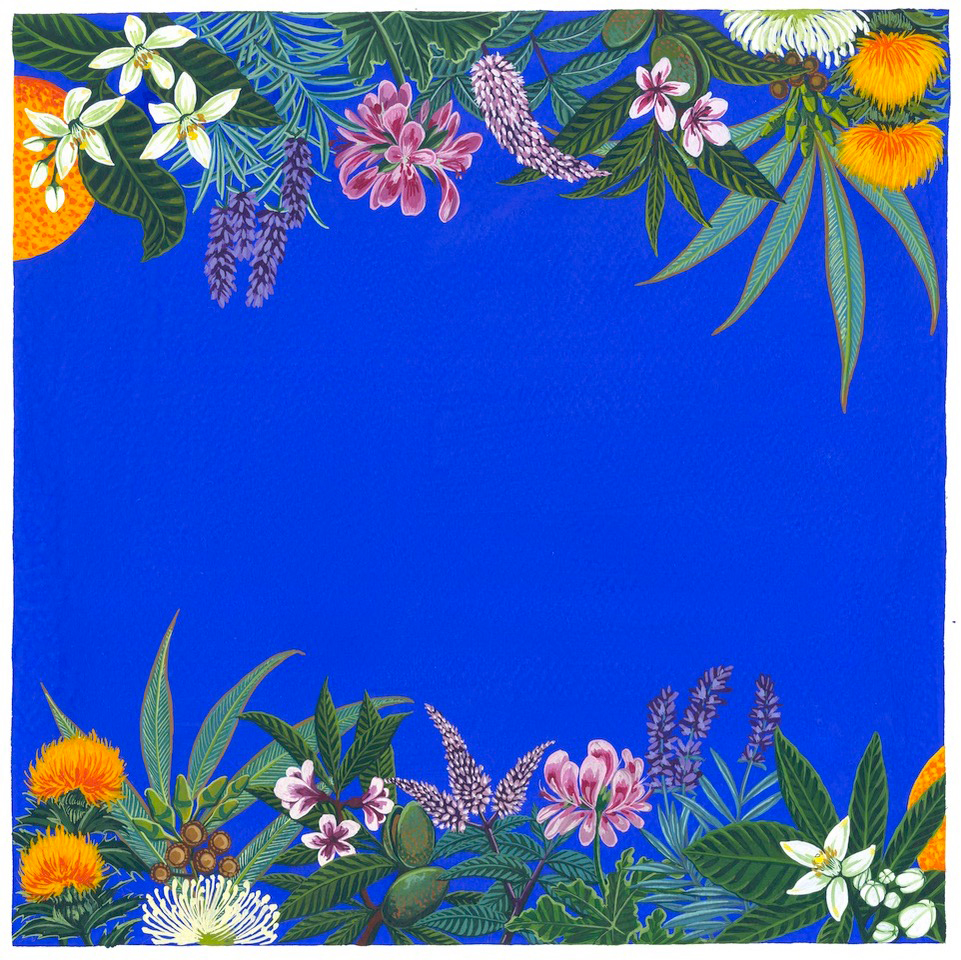 blue Vanderohe and Alice Shirley print