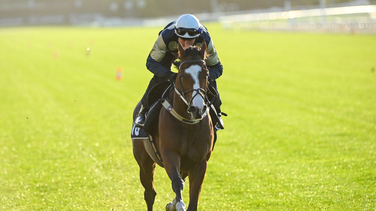 Steven Arnold riding Soulcombe ahead of the Melbourne Cup 2023 horse race.