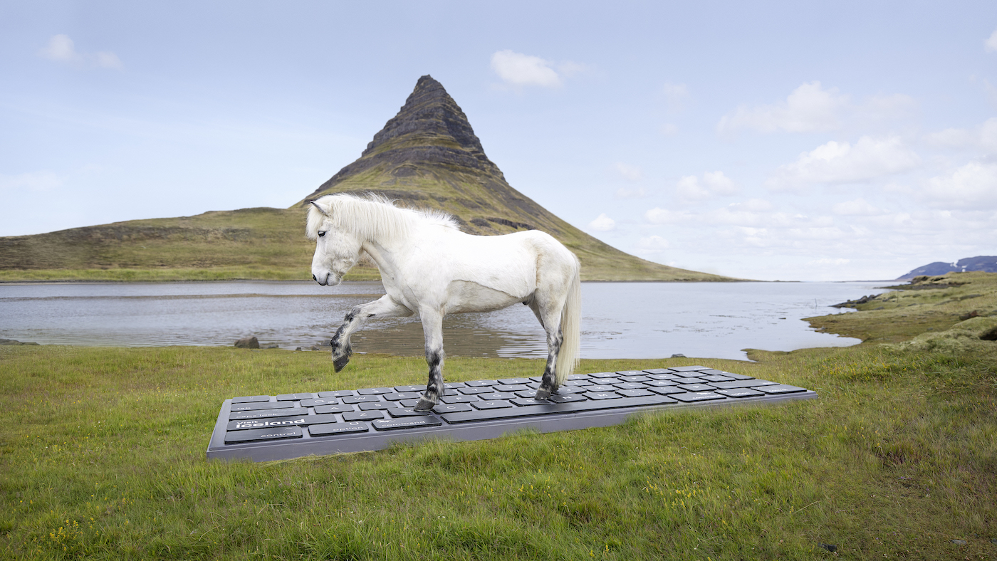 Iceland-Out-Horse-Service.jpg