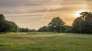 West Surrey - Hole 11