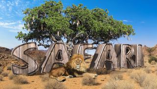 image with safari written on it plus a lion