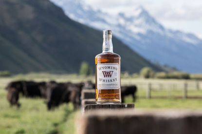 Wyoming Whiskey bottle on cattle ranch