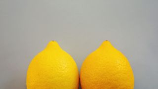 lemons on grey background