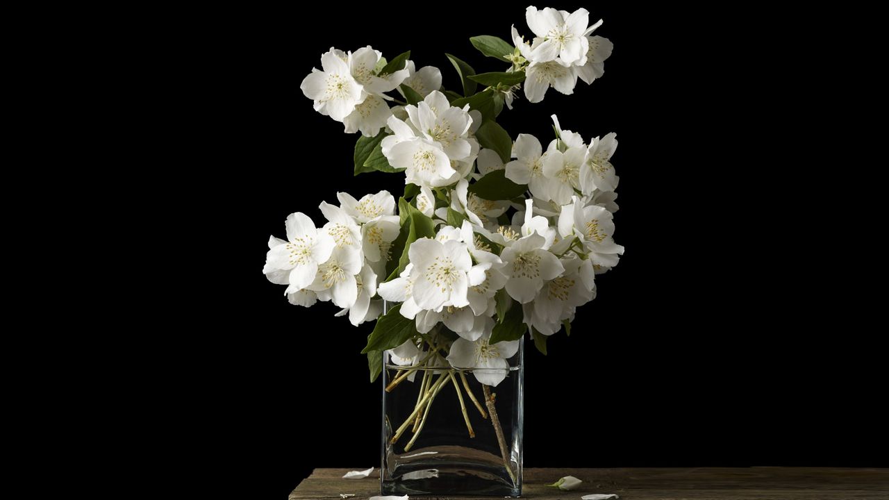 Valentines flower arrangement in vase