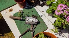 Trowel and pliers on green potting mat next to pink flowers