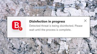 Bitdefender Internet Security disinfected