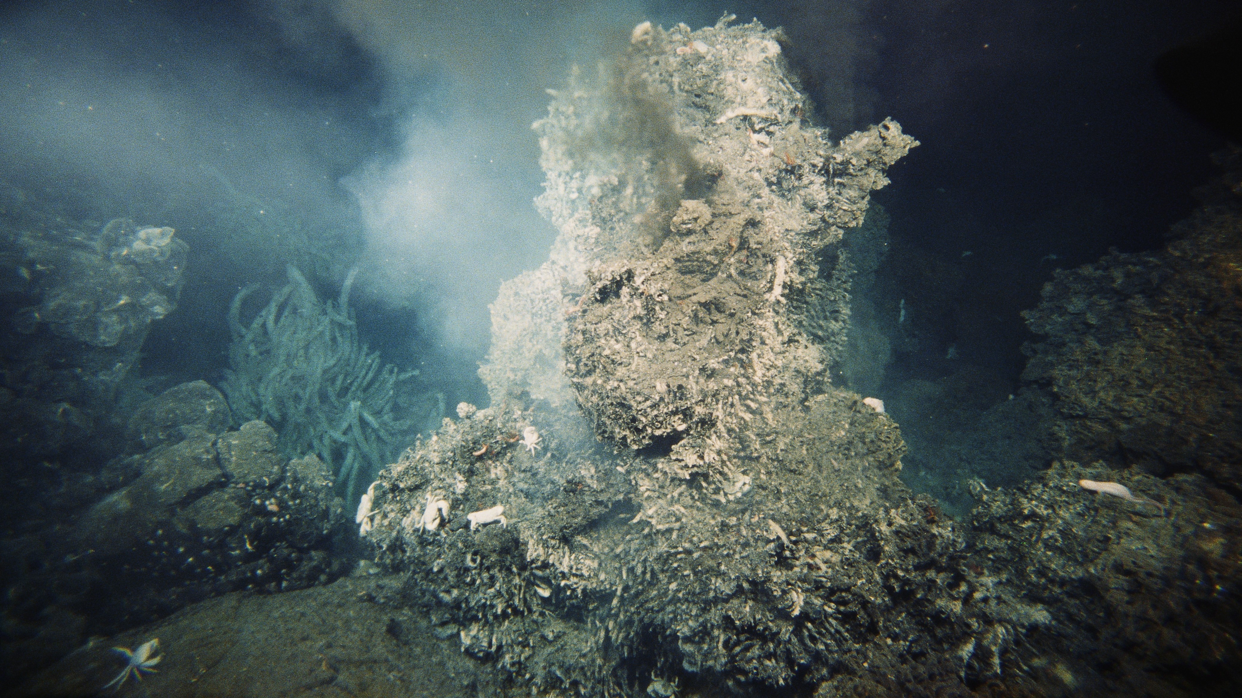 As fontes hidrotermais, embora intoleráveis ​​para os humanos, são o lar de caranguejos, vermes tubulares e muitos outros tipos de vida.