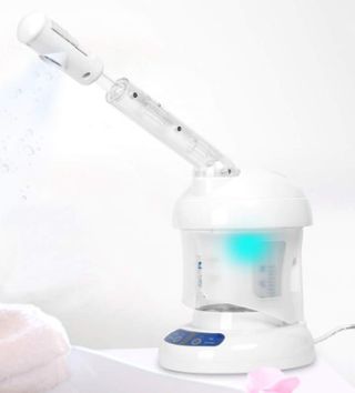 Kingsteam Facial Steamer with Extendable Arm