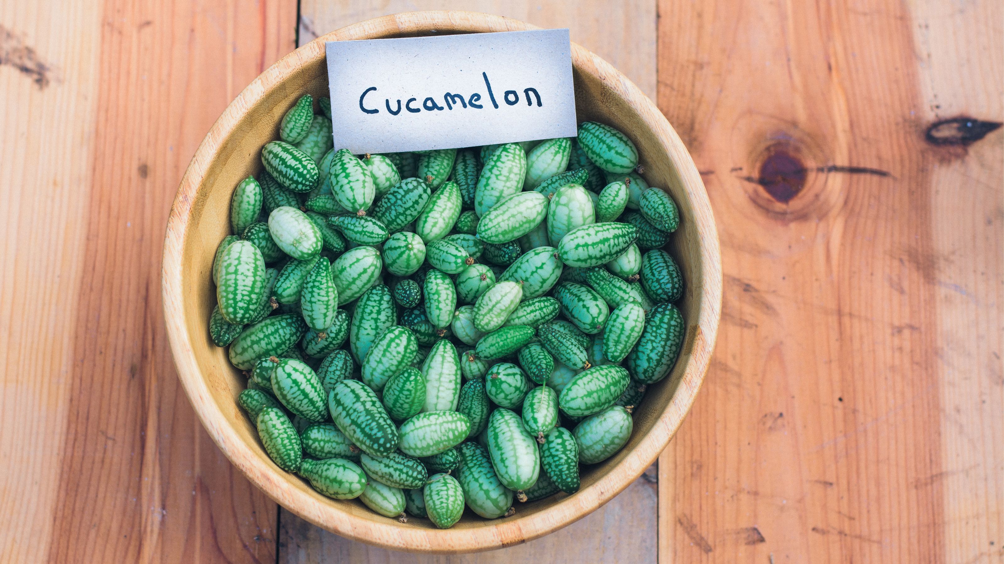 What is a Cucamelon? Can I Grow Them? - Noshing With the Nolands