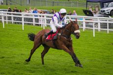 Epsom_270818_7189_original-e1539253323296.jpg
