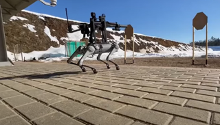 Robot dog with machine gun mount