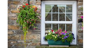 window with window box and hanging basket to show budget garden ideas