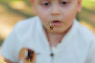 Baby looking at spider on its web.