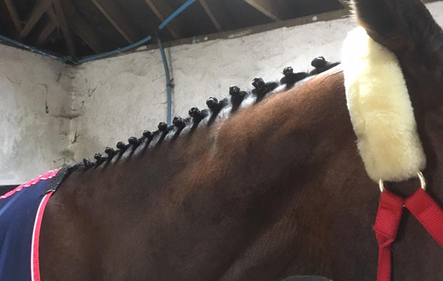 ali-plaits.jpg