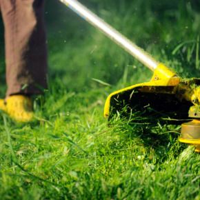 Jailed for an unsightly lawn