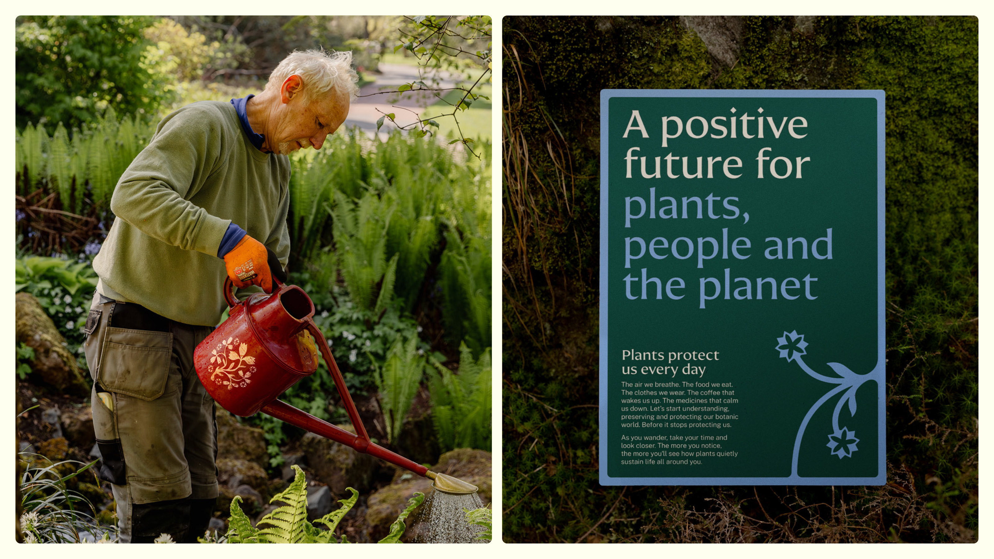 man gardening with text that says a positive future for plants people and planet