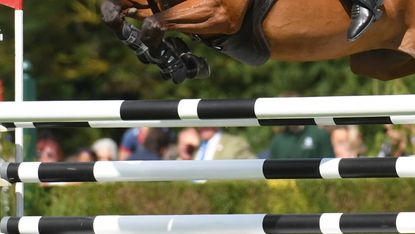 A close up image of a horse jumping a black and white oxer at an outdoor show.