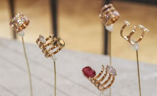 Close up image of gold and diamante rings on metal stands inside a display cabinet, white surface, blurred wooden floor in the background