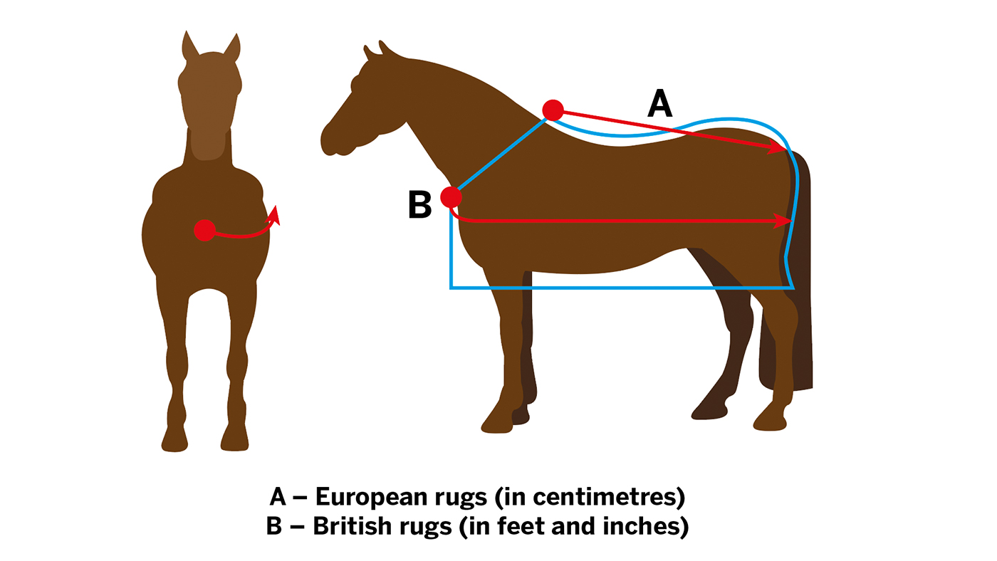 How to fit a rug
