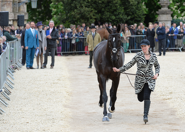 The Mitsubishi Motors Badminton Horse Trials on 10 05 2015
