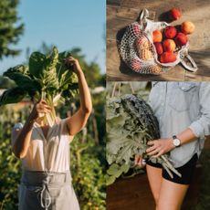 Sustainable living: A woman picking her own vegetables, meditating in the grass and recycling her household waste